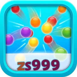 zs999